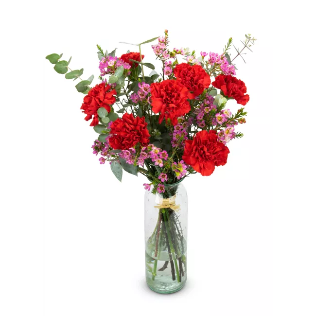 Bouquet of red carnations